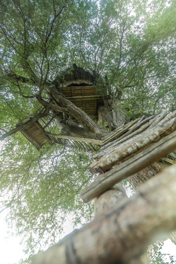 Subaseth Villa Анурадхапура Екстериор снимка